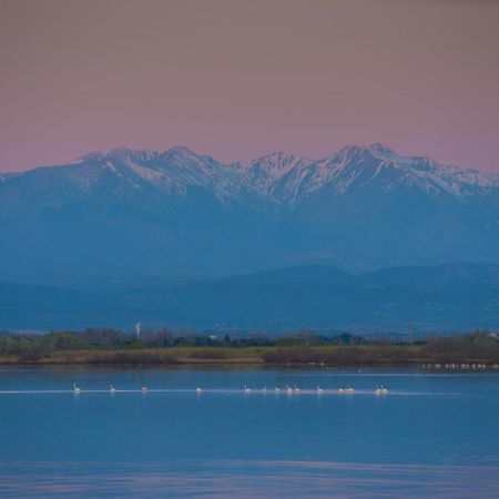 "Chill" Magnifique Vue Sur La Mer Et Le Port Au Coeur De La Ville En Premiere Ligne Canet-en-Roussillon Kültér fotó