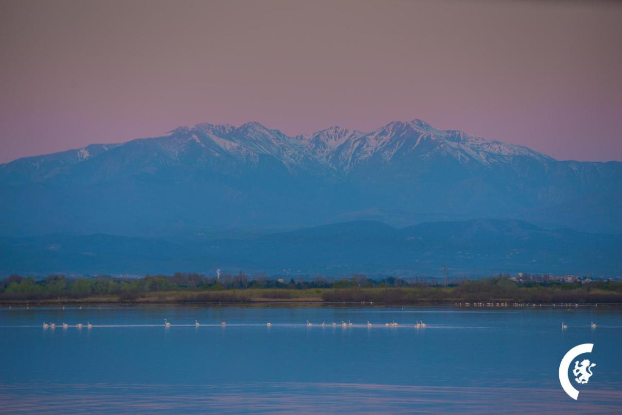 "Chill" Magnifique Vue Sur La Mer Et Le Port Au Coeur De La Ville En Premiere Ligne Canet-en-Roussillon Kültér fotó