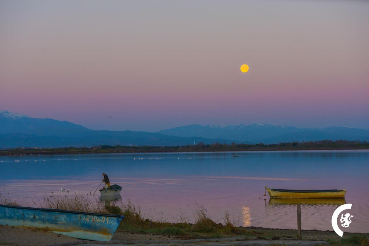 "Chill" Magnifique Vue Sur La Mer Et Le Port Au Coeur De La Ville En Premiere Ligne Canet-en-Roussillon Kültér fotó